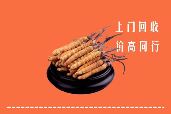 高价求购：贡嘎县回收散虫草