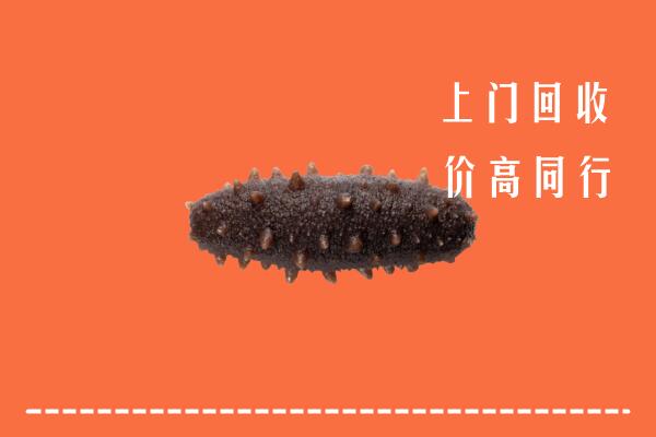 高价求购：贡嘎县回收海参