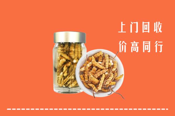 贡嘎县回收冬虫夏草